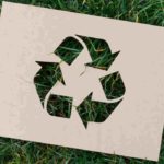 Eco-friendly gardening: organic and natural products