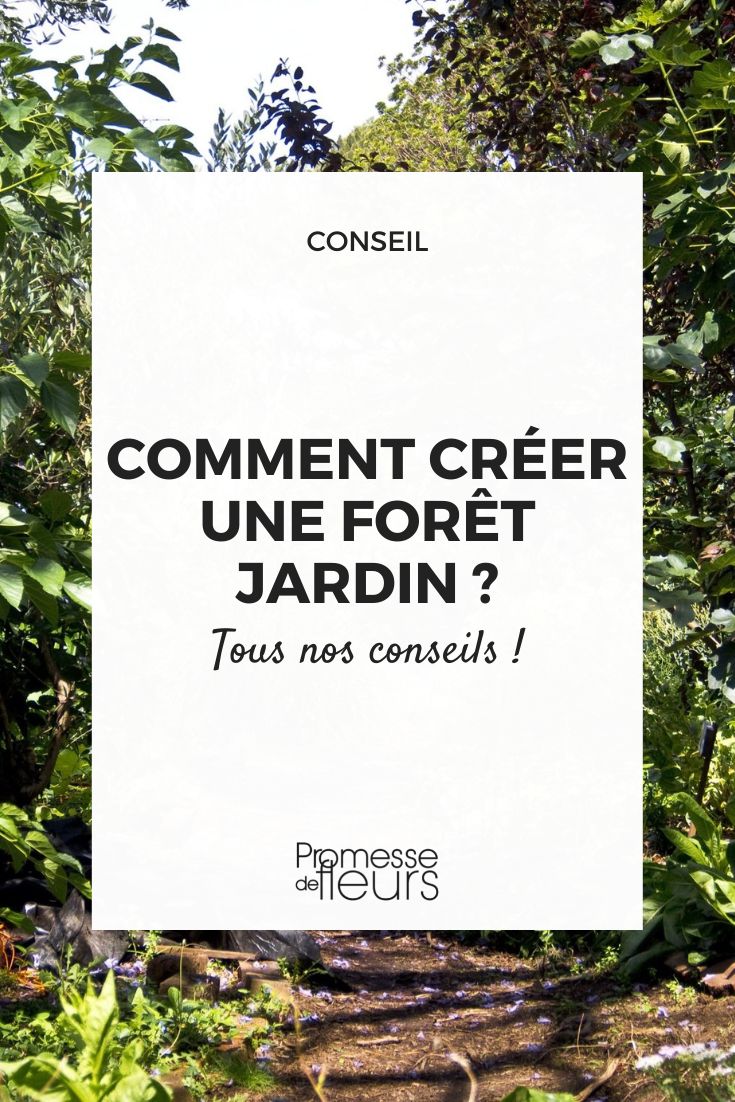 Create edible forest garden