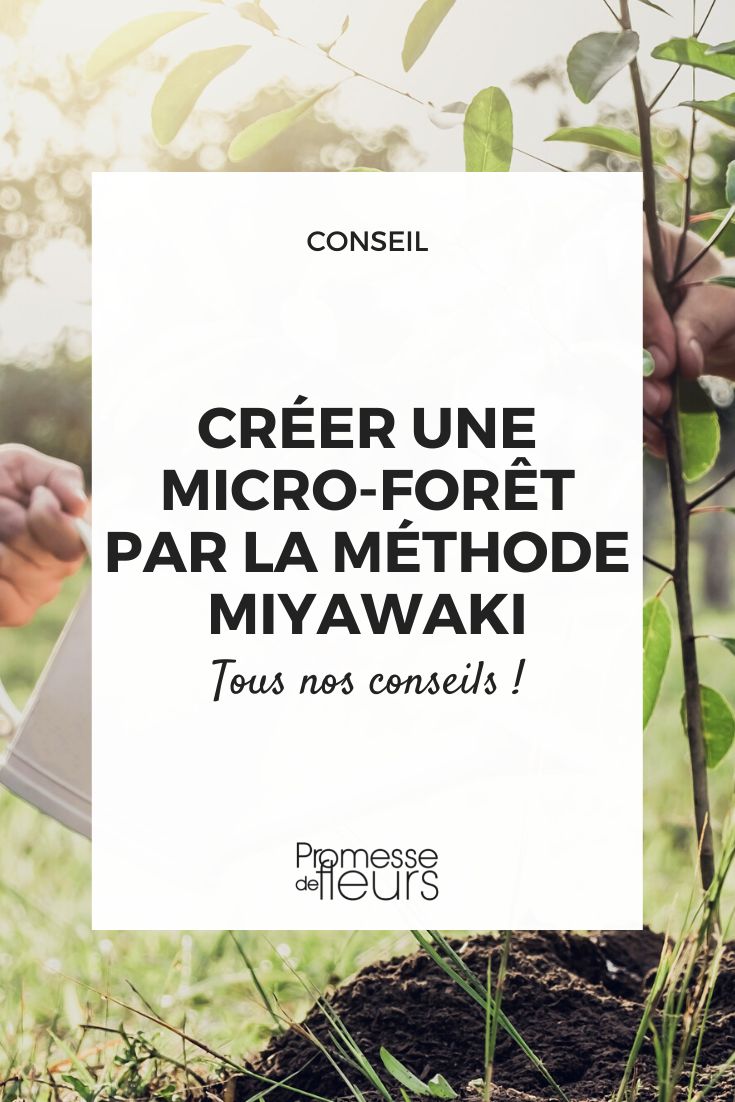 urban micro-forest planting