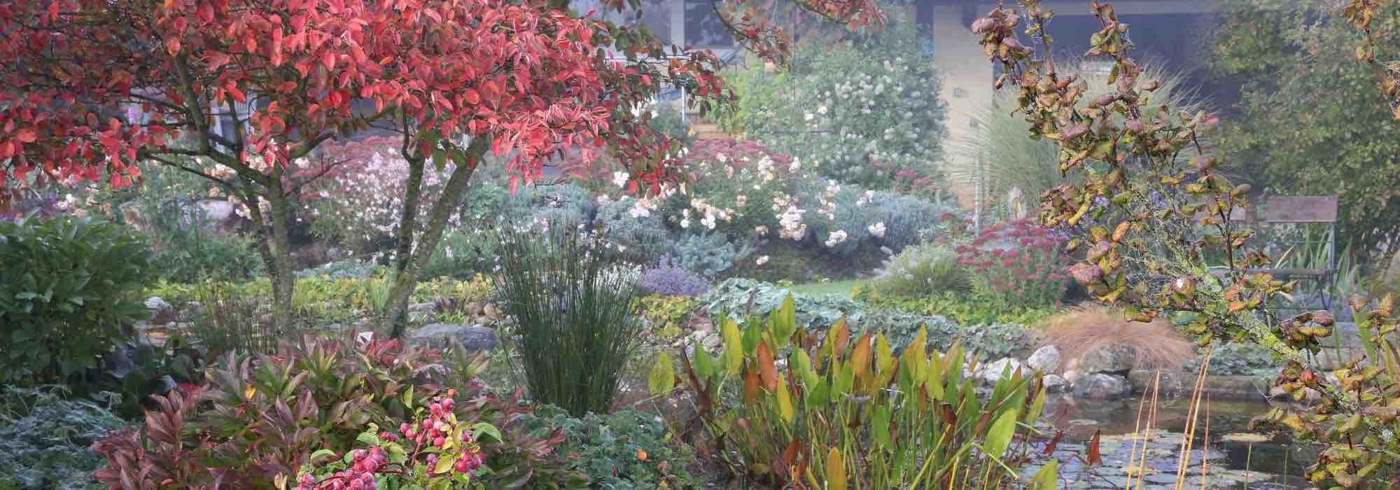 8 shade plants with autumn interest