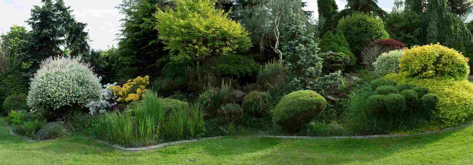 How to create beautiful borders in the garden?