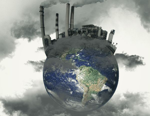 The eco-anxiety of the gardener