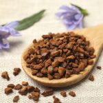 Chicory: cultivation, benefits and use