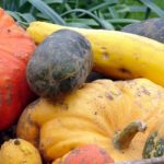 Kitchen garden calendar - November