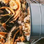 Compost tea: recipe and uses for the garden