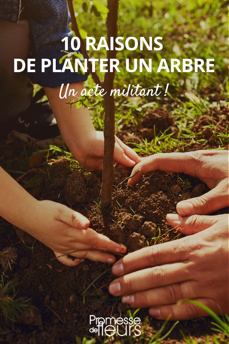 Planting trees is essential for the environment and biodiversity. Trees provide oxygen, absorb carbon dioxide, and help combat climate change. They also provide habitats for wildlife, prevent soil erosion, and contribute to the beauty of our landscapes. In addition, trees can improve air quality, reduce noise pollution, and provide shade and cooling effects in urban areas. Overall, planting trees is a simple yet powerful way to contribute to a healthier planet for current and future generations.