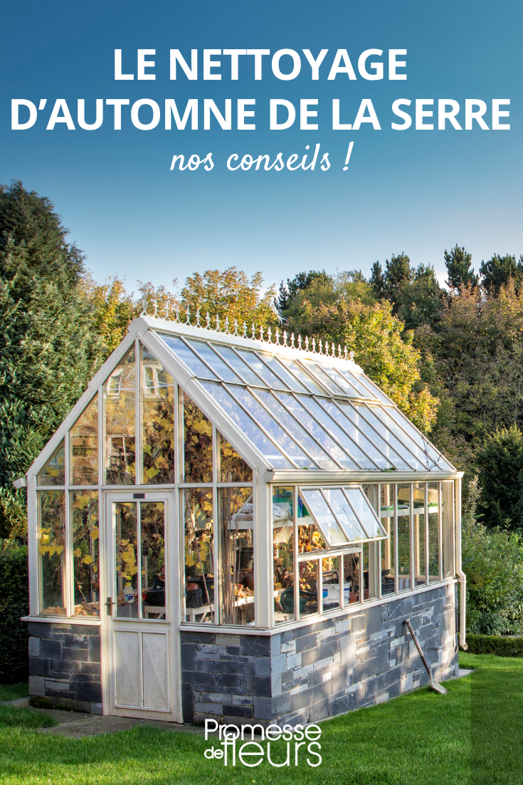 [title]Clean the greenhouse in autumn[/title]