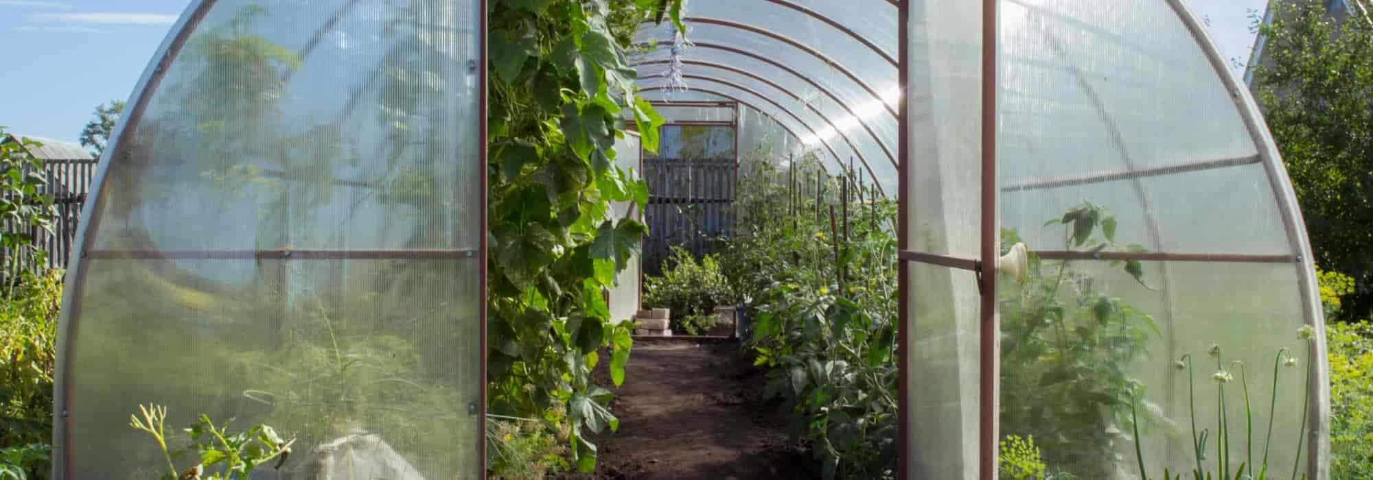 How to retain heat in a greenhouse during winter?