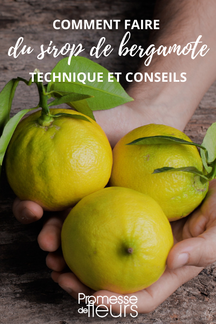 Making Bergamot Syrup