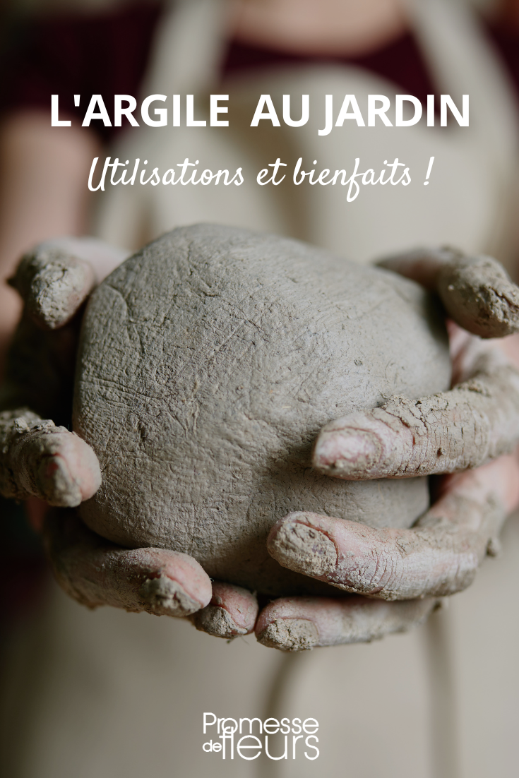 [title]Utilisation de l'argile au jardin

L'argile est un matériau naturel aux multiples bienfaits pour le jardin. Enrichie en minéraux, elle améliore la structure du sol et favorise la rétention d'eau, ce qui est particulièrement bénéfique pour les plantes sensibles à la sécheresse. Pour profiter de ses avantages, mélangez de l'argile {glossary} en poudre avec le terreau lors de la plantation de vos végétaux. Vous pouvez également réaliser des cataplasmes d'argile pour soigner les blessures des plantes ou lutter contre les parasites. N'hésitez pas à explorer les différentes utilisations de l'argile pour optimiser la santé et la croissance de votre jardin. [/title]