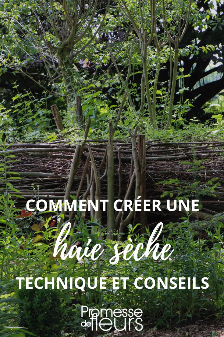 [plantes type="haie" exposition="soleil" sol="sec" taille="2m" floraison="printemps" feuillage="persistant"]