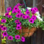 How to make a hanging flower basket?