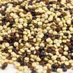 Growing quinoa in your vegetable garden