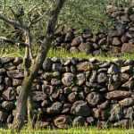 How to dress a retaining wall?