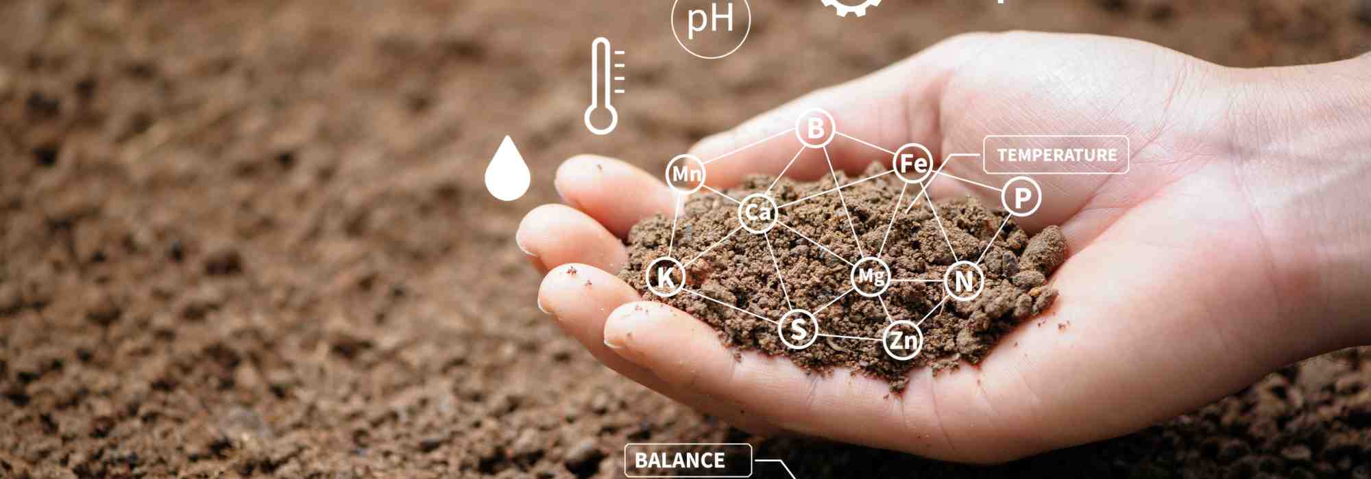 How to recognise a polluted soil in your garden?