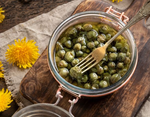 Dandelion capers are a lovely, surprising substitute for true capers (Capparis spinosa)