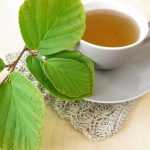 How to make witch-hazel tea?