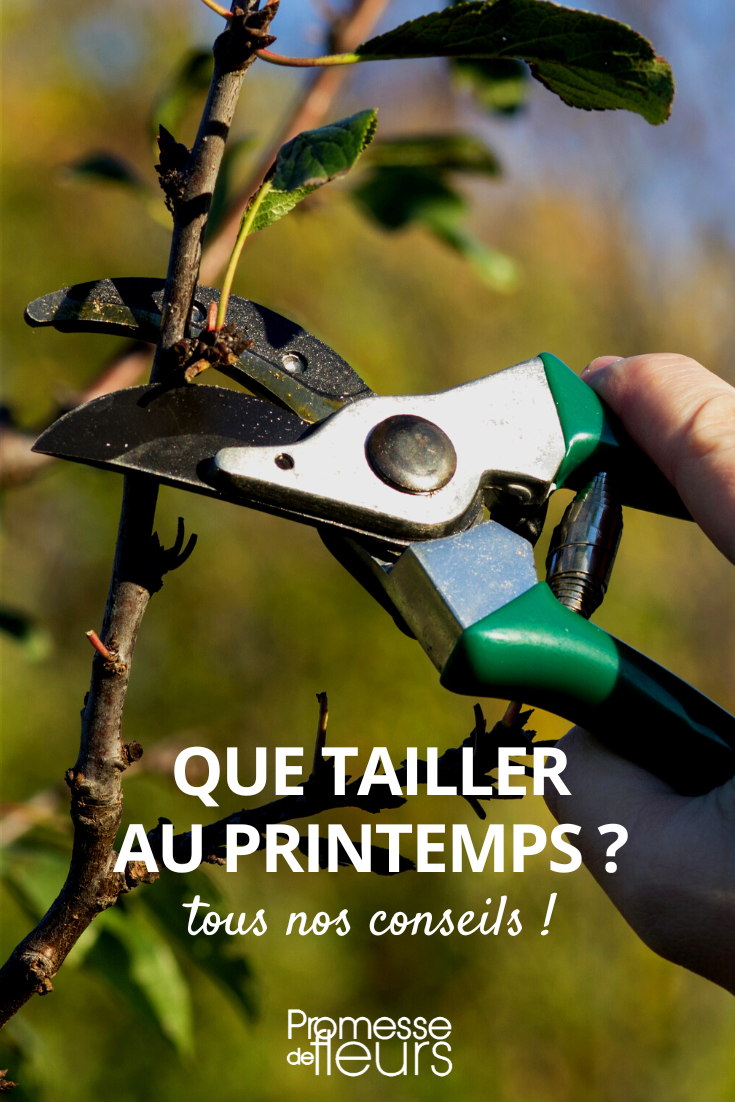 Spring Pruning Tasks