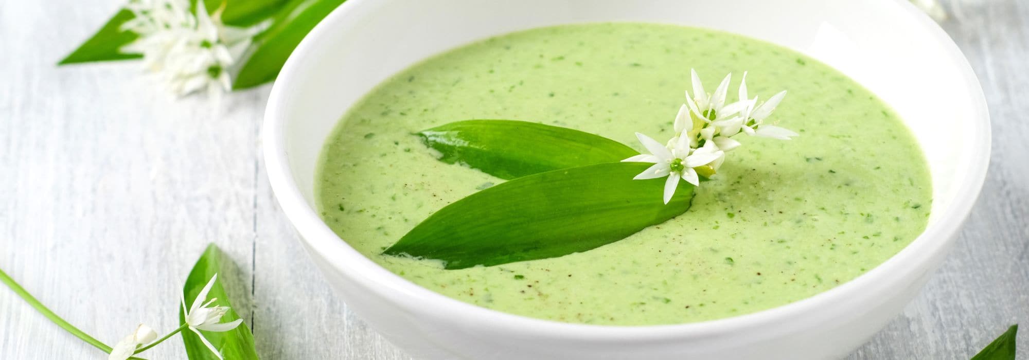 9 original plants for tasty soups