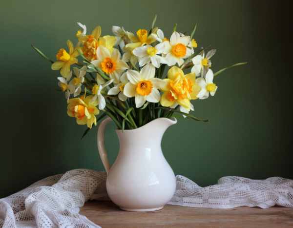5 tips for creating beautiful daffodil cut flower arrangements