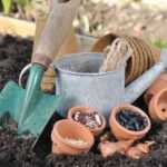 How to fail at sowing in 6 lessons?