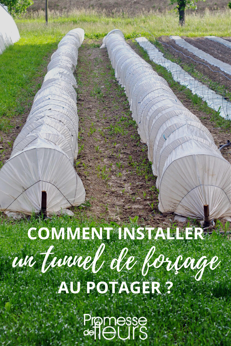 Kitchen Garden Tunnel