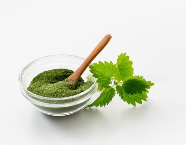 Tutorial: Make your own nettle powder