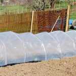 How to install a forcing tunnel in the vegetable garden?