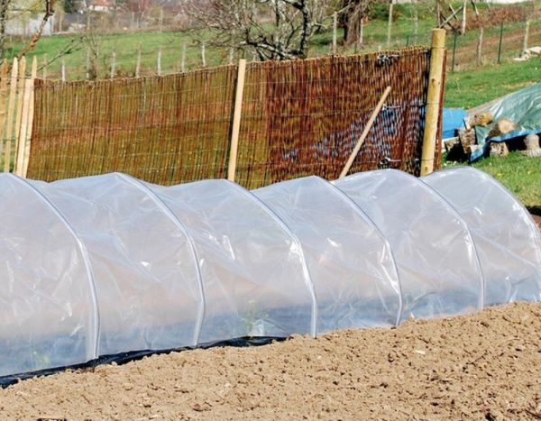 How to install a forcing tunnel in the vegetable garden?