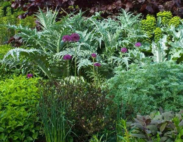 Pruning perennial plants
