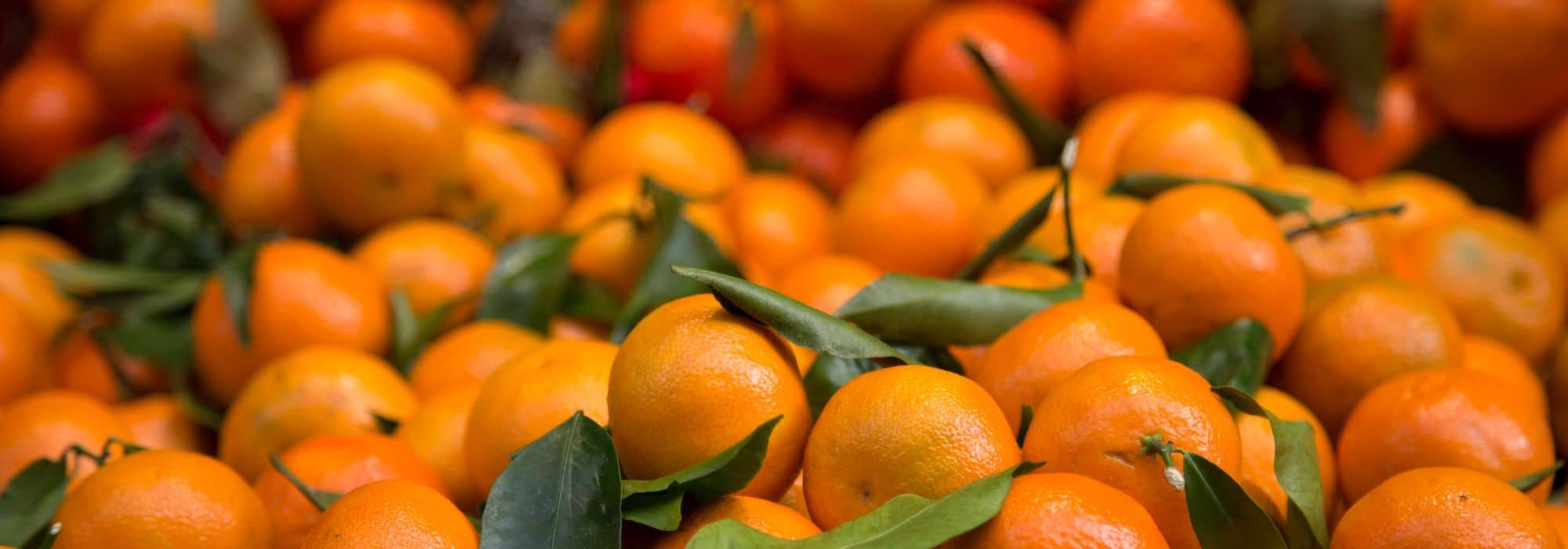 What are the differences between mandarin and clementine?