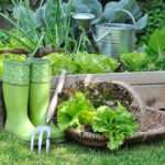 Kitchen garden and orchard