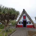 I visited... Madeira, the flower island