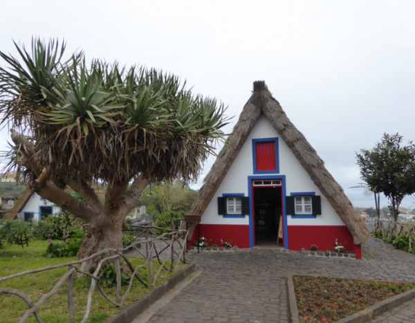 I visited... Madeira, the flower island