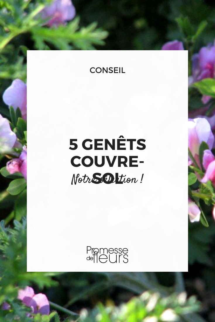 Creeping genets selection