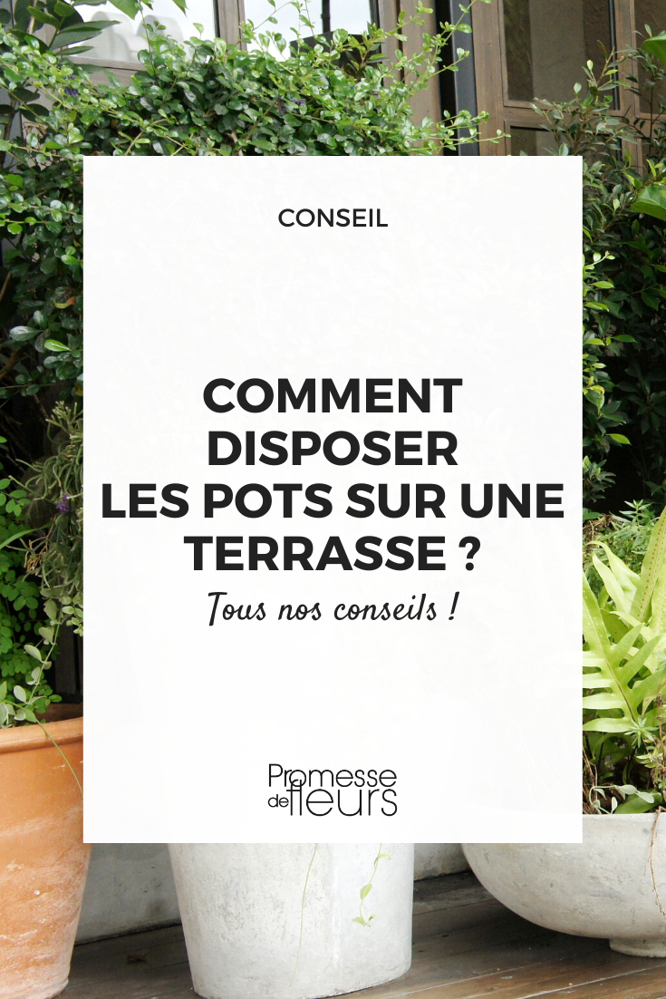 pots and containers for terrace and balcony