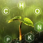 How to correct a potassium deficiency?