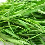 Growing water spinach