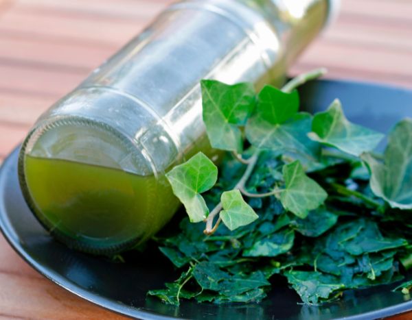 How to make your own eco-friendly, natural laundry detergent from ivy?