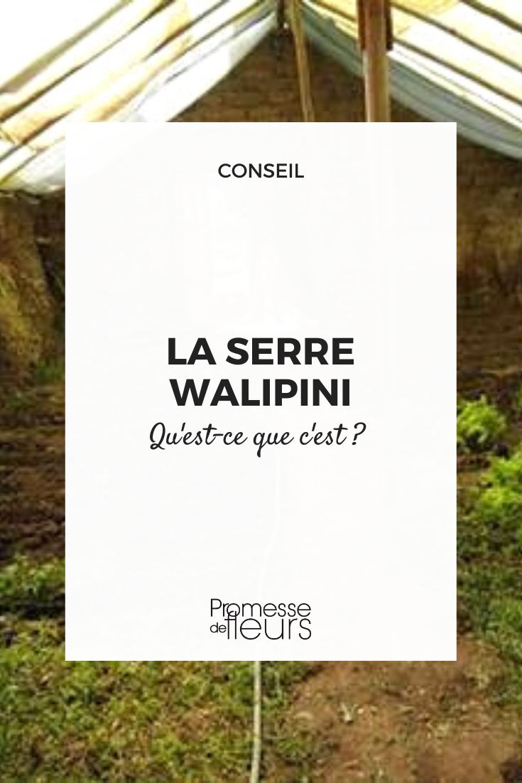 Semi-inground greenhouse