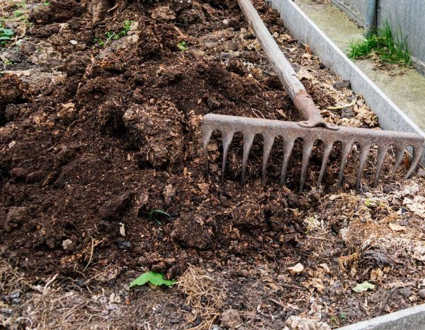 How to make a double hotbed under cover?