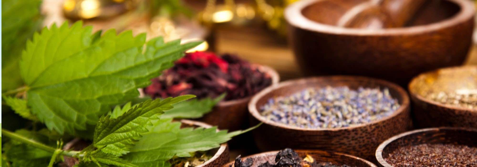 10 medicinal plants to relieve headaches