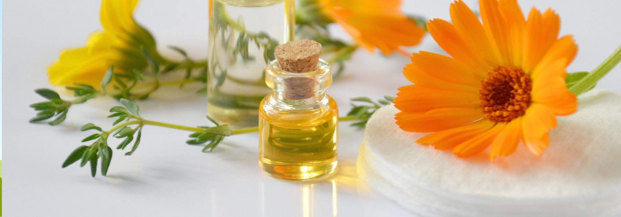 7 medicinal plants for a beautiful skin