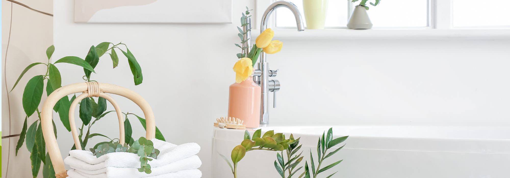 11 perfect indoor plants for the bathroom