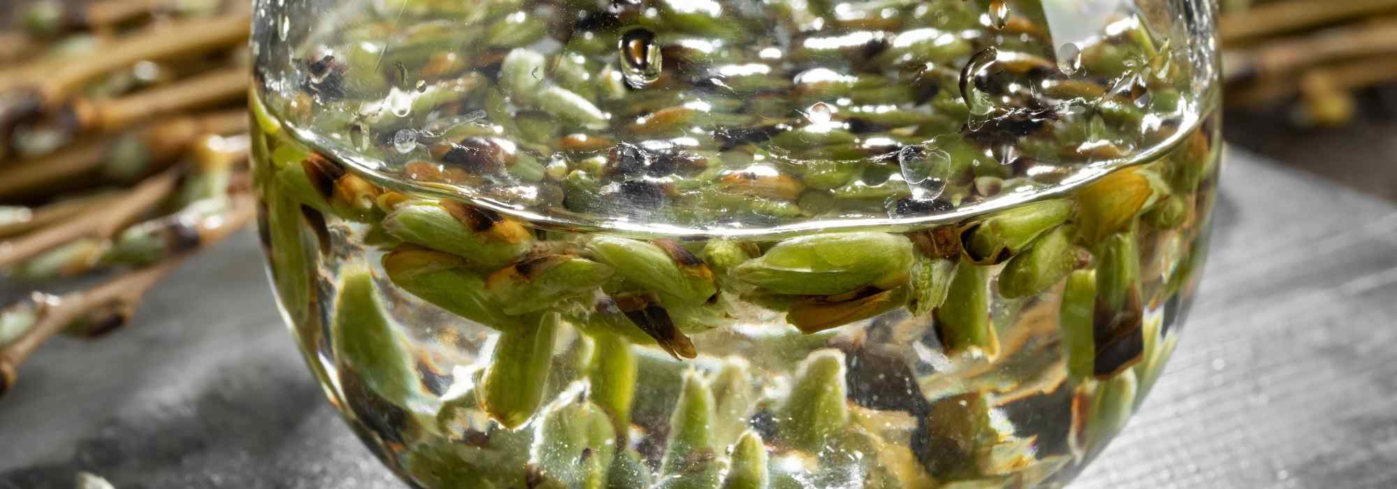 How to heal with trees?